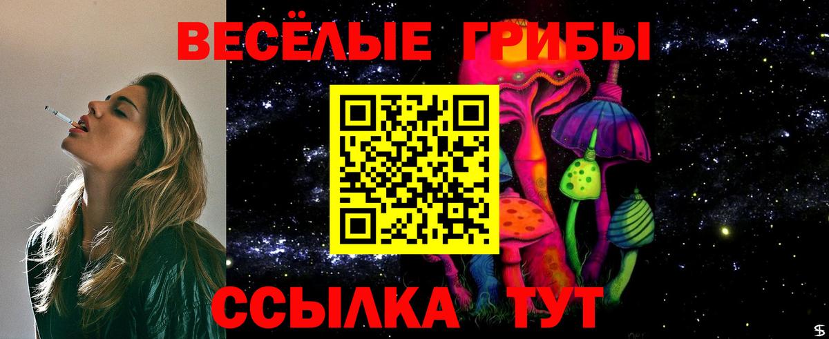 Псилоцибиновые грибы Psilocybine cubensis Старая Купавна