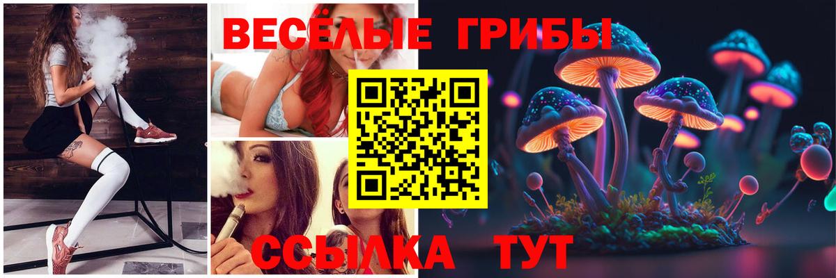 Старая Купавна  Галлюциногенные грибы MAGIC MUSHROOMS  Галлюциногенные грибы MAGIC MUSHROOMS  Вход с VPN 